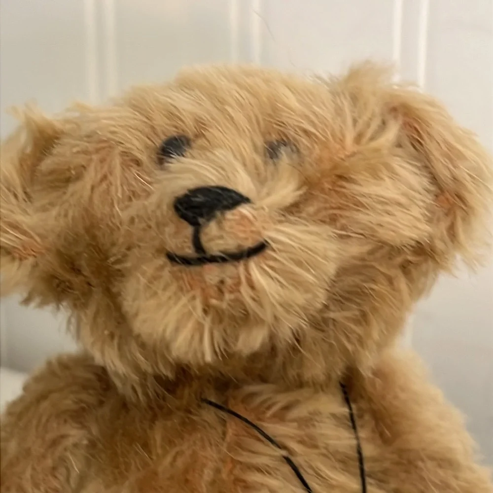 1985 Signed Stearnsy mohair teddy bear